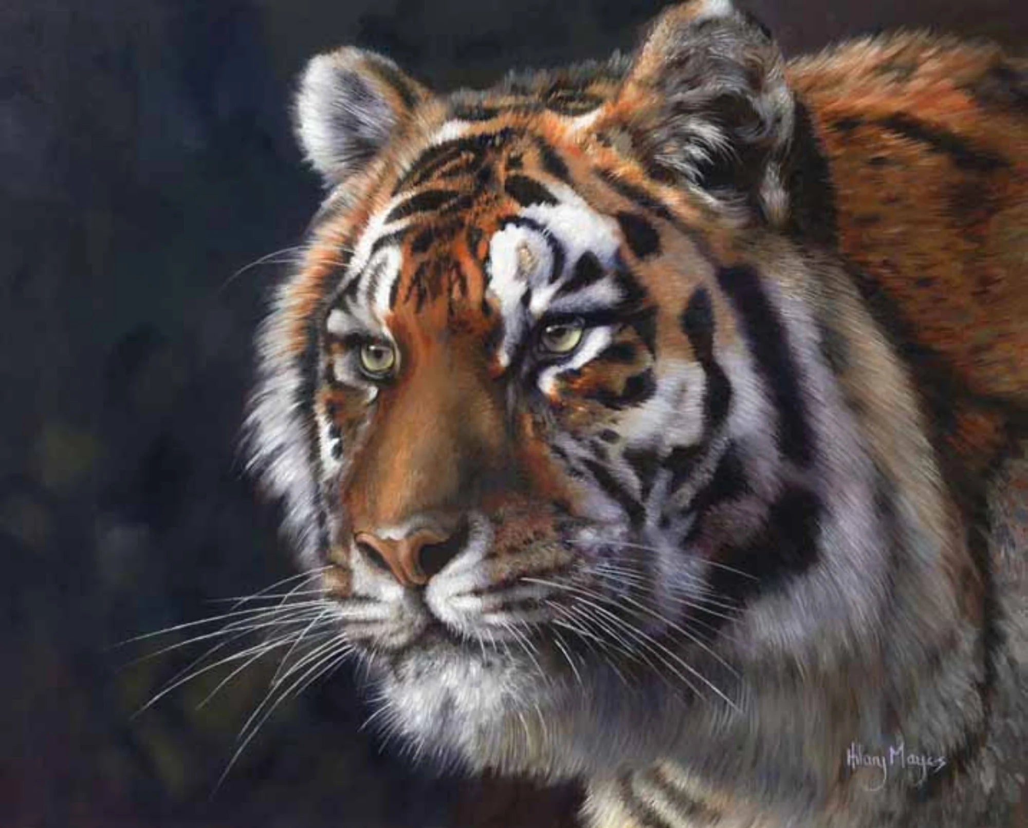 Embrace the Wild: The Artistic Journey of Tigers Eye by Hilary Mayes