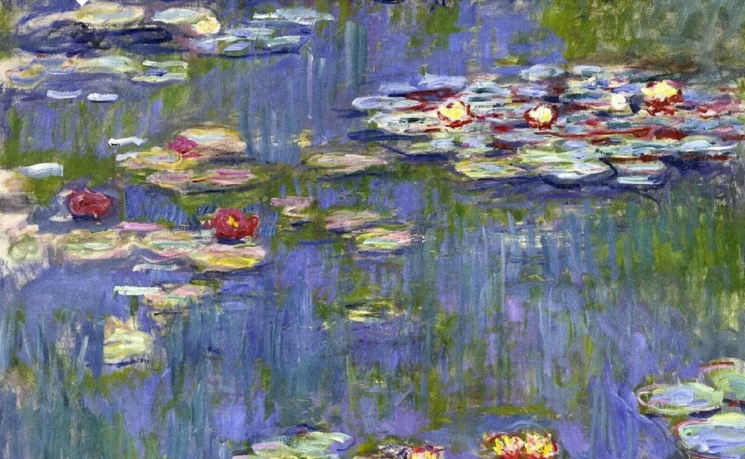 The Titanic Mystery of Monet's Water Lilies