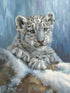 Snow Leopard  Hilary Mayes
