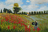 Poppy Field In Argenteuil Claude Monet
